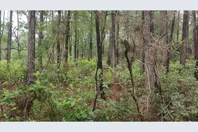 Lot 33 Gum Tree Lane, Plantersville, TX 77363 - Photo 25