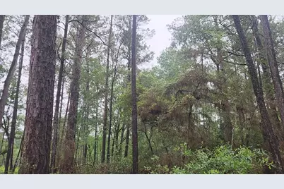 Lot 33 Gum Tree Lane, Plantersville, TX 77363 - Photo 9