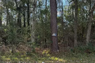 15737 Aspen Dr, Montgomery, TX 77356 - Photo 1