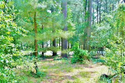 Lot 695 Lake Shore Drive, Coldspring, TX 77331 - Photo 15