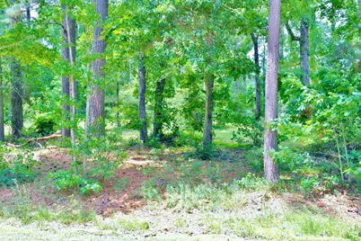 Lot 695 Lake Shore Drive, Coldspring, TX 77331 - Photo 11