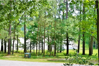 Lot 695 Lake Shore Drive, Coldspring, TX 77331 - Photo 7