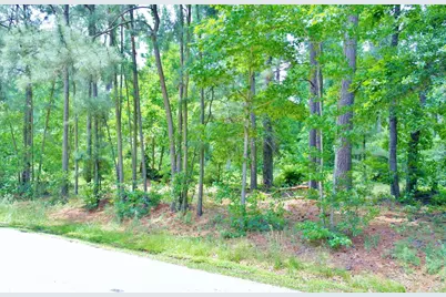 Lot 695 Lake Shore Drive, Coldspring, TX 77331 - Photo 9