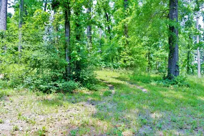 Lot 695 Lake Shore Drive, Coldspring, TX 77331 - Photo 13