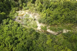 142 Anna Springs Ln, Montgomery, TX 77356 - Photo 9