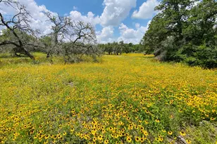 3685 Nixon Lake Rd, Carmine, TX 78932 - Photo 1