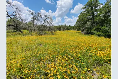 3685 Nixon Lake Road, Carmine, TX 78932 - Photo 47