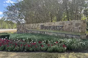 134 Mimosa Silk Ct, Montgomery, TX 77316 - Photo 5