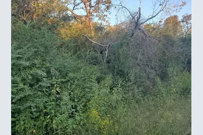 0 N Council Drive, Hempstead, TX 77445 - Photo 3