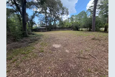 15452 Delores Lane, Conroe, TX 77384 - Photo 3