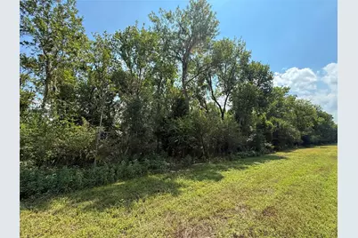 Tract 1 County Road 334, Sweeny, TX 77480 - Photo 3