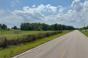 Tract 1 County Road 334, Sweeny, TX 77480 - Photo 1