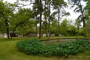 1310 Sue Barnett Dr, Houston, TX 77018 - Photo 11