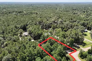 180 Maurine Ln, Cleveland, TX 77328 - Photo 29