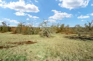 19 Co Rd 721, Kosse, TX 76653 - Photo 9