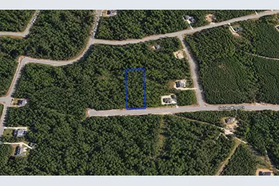 16302 Golden Wood Court, Willis, TX 77378 - Photo 3