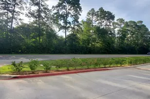 15203 Bart Lake Rd, Conroe, TX 77303 - Photo 1