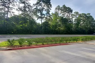 15203 Bart Lake Rd, Conroe, TX 77303 - Photo 1