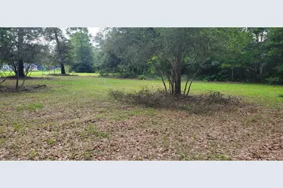 15203 Bart Lake Road, Conroe, TX 77303 - Photo 5