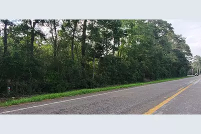 15203 Bart Lake Road, Conroe, TX 77303 - Photo 3