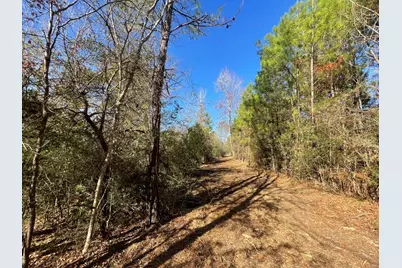 Lot 6 E Fm 942, Camden, TX 75934 - Photo 9