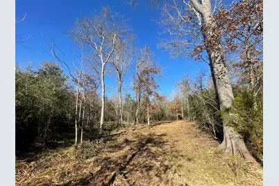 Lot 6 E Fm 942, Camden, TX 75934 - Photo 11