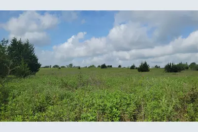 Tbd County Road 213, Anderson, TX 77830 - Photo 13