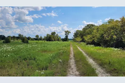 Tbd County Road 213, Anderson, TX 77830 - Photo 5