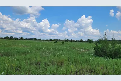 Tbd County Road 213, Anderson, TX 77830 - Photo 3