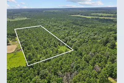 4012 Fm 2992, Woodville, TX 77660 - Photo 5