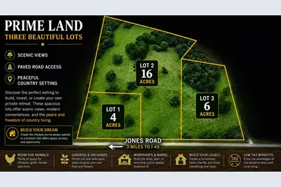 Tbd Jones Road, New Waverly, TX 77358 - Photo 1