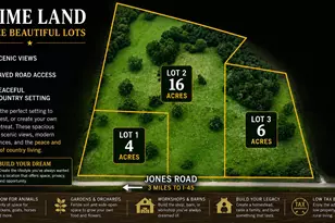 Tbd Jones Rd, New Waverly, TX 77358 - Photo 1