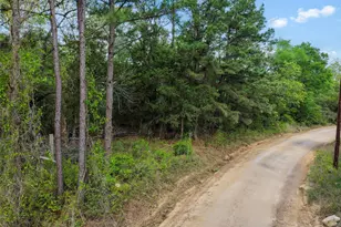 173 Townley Ranch Dr, Huntsville, TX 77320 - Photo 1
