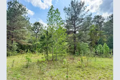 317 County Road 4392, Hillister, TX 77624 - Photo 39
