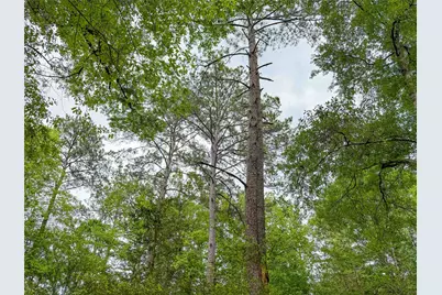 317 County Road 4392, Hillister, TX 77624 - Photo 43