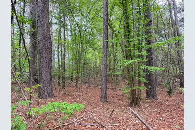 317 County Road 4392, Hillister, TX 77624 - Photo 45