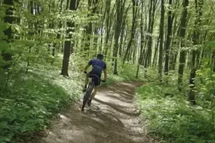 41663 Wendele Wy, Montgomery, TX 77316 - Photo 25