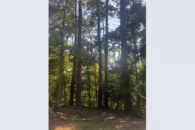 Tbd Buckeye Lane, Point Blank, TX 77364 - Photo 13