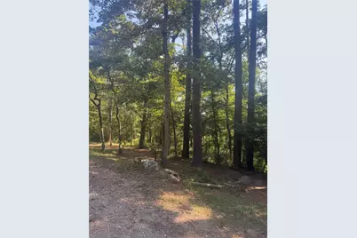 Tbd Buckeye Lane, Point Blank, TX 77364 - Photo 11