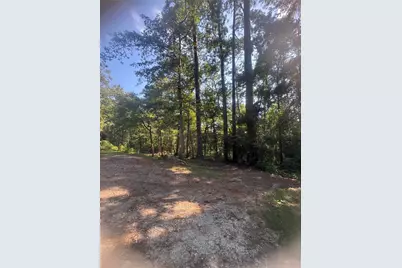 Tbd Buckeye Lane, Point Blank, TX 77364 - Photo 7