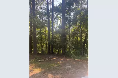 Tbd Buckeye Lane, Point Blank, TX 77364 - Photo 9