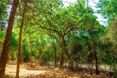 12556 Red Hill Rd, Hearne, TX 77859 - Photo 5