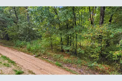 0 Holt Street, Coldspring, TX 77331 - Photo 3