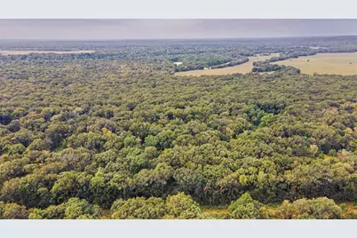 0 Holt Street, Coldspring, TX 77331 - Photo 11