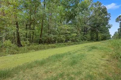 0 Holt Street, Coldspring, TX 77331 - Photo 13