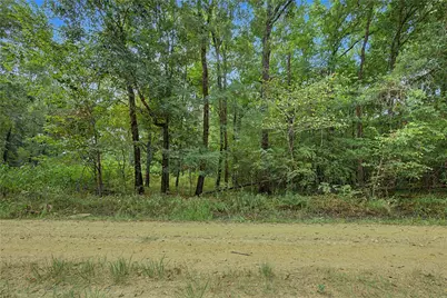 0 Holt Street, Coldspring, TX 77331 - Photo 1
