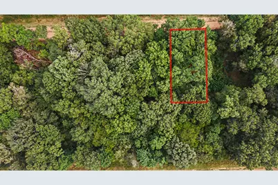 0 Holt Street, Coldspring, TX 77331 - Photo 5