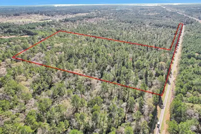 Tbd Cr 302, Plantersville, TX 77363 - Photo 5