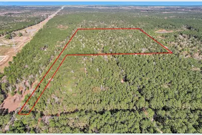 Tbd Cr 302, Plantersville, TX 77363 - Photo 7