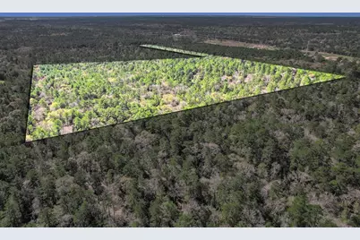 Tbd Cr 302, Plantersville, TX 77363 - Photo 3